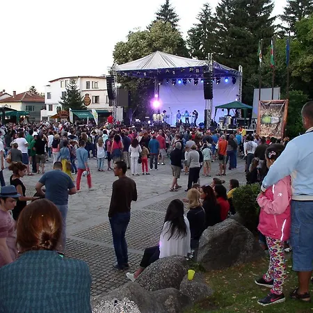 Lvv Pirin Gold *